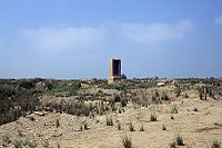 Veduta del sito archeologico di Tell el-Ruba, l'antica Djedet, centro del culto di Hatmehit.