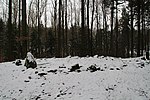 Menhir von Roßberg