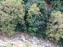 Near Jaeta (Jeita), Lebanon, 2014.