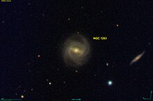 NGC 1263 SDSS.jpg