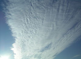 Cirrocumulus