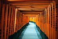 Fushimi Inari-taisha (Kyoto).