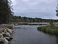 Lake Itasca, Born van den Mississippi