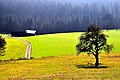 Landschaft bei Pernegg Feldkirchen in Kärnten