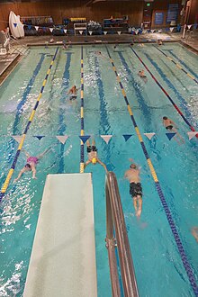 Swimmers in lanes at a pool, as viewed from a diving board