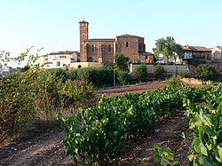 Skyline of Alesón