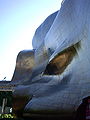 Exterior siding of the Experience Music Project