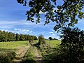 Landschaft um Fliegeneichen / Weg zur Neye-Talsperre