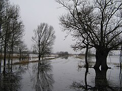 L'ancien port du Millau sur le marais de Goulaine submergé par de fortes eaux de pluie