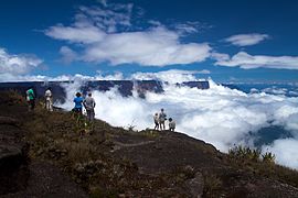 Clima tropical húmedo Monte Roraima