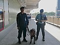 สุนัข K-9 ที่สถานีห้าแยกลาดพร้าว (N9)