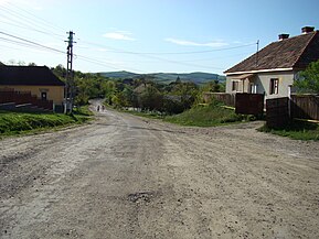 Cătina