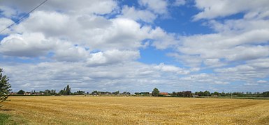 Estaimpuis en été.