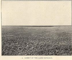 A black and white picture of the barren and level plain of the Llano Estacado in 1900 with sparse natural grass