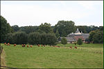 Kasteel Goedenraad in Eys