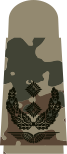 Oberstleutnant (tropentarn)