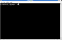 LXTerminal op Knoppix