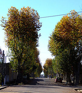 Straße in Melo