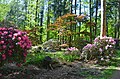 Rhododendronpark Hobbie