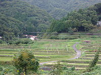 西田の棚田