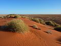 Thumbnail for Simpson Desert