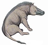 Reconstruction of Andrewsarchus