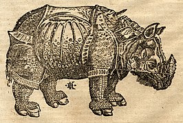 Neushoorn door David Kandel in de Cosmographia van Sebastian Münster, naar het voorbeeld van Dürers Rhinocerus