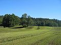 Planinsko polje