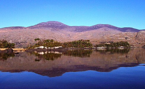 Purple Mountain near Killarney, Ireland.