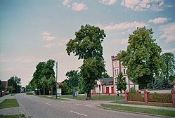 Skyline of Tauer