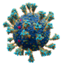 Thumbnail for Introduction to viruses