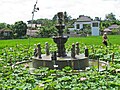 Fontaine et fleurs de lotus