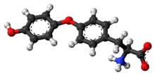 L-Thyronine zwitterion 3D ball.png