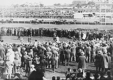 Pharlap1930melbournecup.jpg