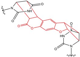 Chemical structure of DNA crosslink induced by Psoralen.