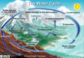 Image 8The water cycle