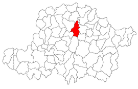 Location in Arad County