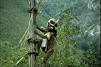 Kurulu Village War Chief at Baliem Valley in New Guinea