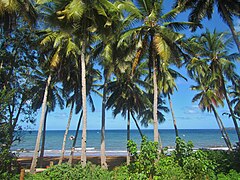 La plage de Nyambadao.