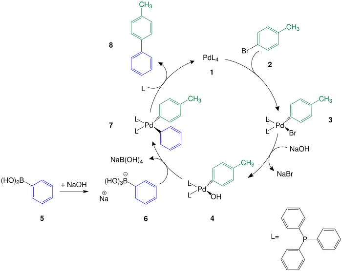 Mechanismus der Suzuki-Kupplung