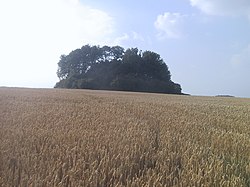 Tumulus