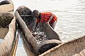 A young Mundari boy scoops fish from a fishing boat in South Sudan.