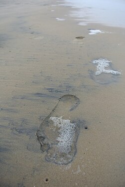 Faded footprints