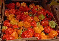 Hot peppers