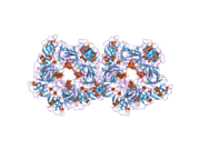 2bdi: Human Kallikrein 4 complex with cobalt and p-aminobenzamidine