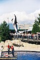 A dolphin performing at the Vancouver Aquarium.