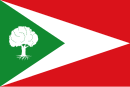 Drapeau de Tosantos