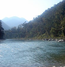 Hanging bridge from bottom.jpg