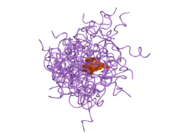 1t0c: Solution Structure of Human Proinsulin C-Peptide