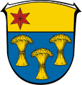 Buchenau